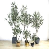 uploads/erp/collection/images/Home Garden/dgjiawang/XU0612839/img_b/XU0612839_img_b_1